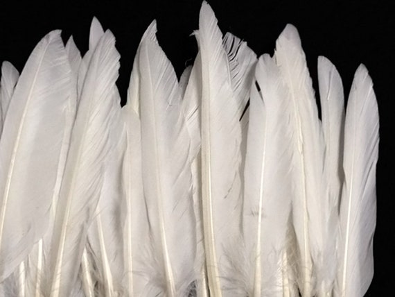 white duck feather