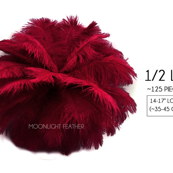 1/2 libbra. - 14-17 "Borgogna Struzzo Grande Corpo Drab All'ingrosso Piume (Bulk) Gastby Centerpiece Decor: 2082