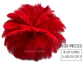 Large ostrich plumes, 100 Pieces - 8-10" Red Ostrich Dyed Drab Body Wholesale Feathers (Bulk) : 3913