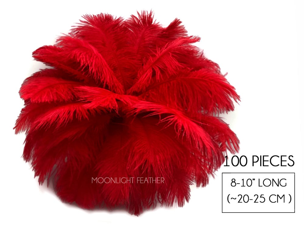 20 Pcs Natural Red Ostrich Feathers Plumes 8-10 Inch(20-25 Cm) Bulk For  Wedding Party, Easter, Gatsby Decorations