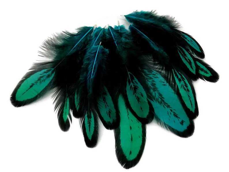 Custom Dye Feather 1 Dozen Peacock Green Whiting Farms Etsy