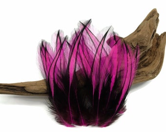 Fuchsia Laced Pointy Feathers, 10 Pieces - Hot Pink Dyed BLW Laced Long Rooster Cape Whiting Farms Feathers : 3346