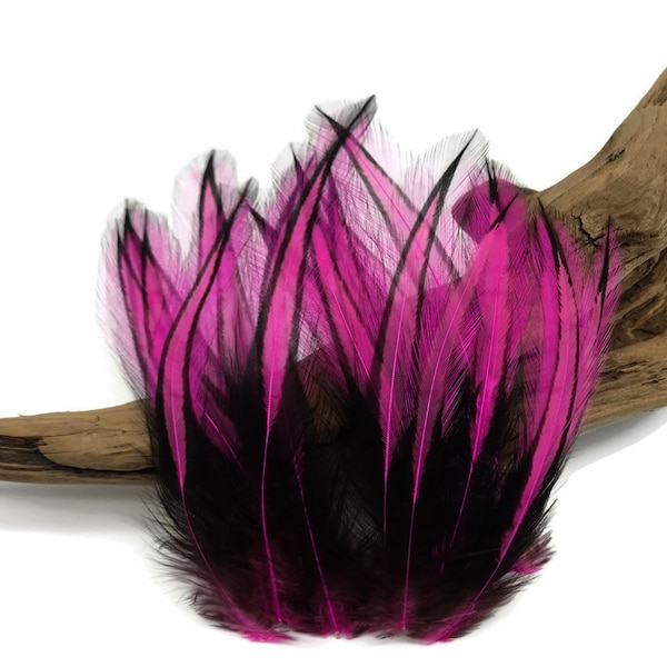 Fuchsia Laced Pointy Feathers, 10 Pieces - Hot Pink Dyed BLW Laced Long Rooster Cape Whiting Farms Feathers : 3346