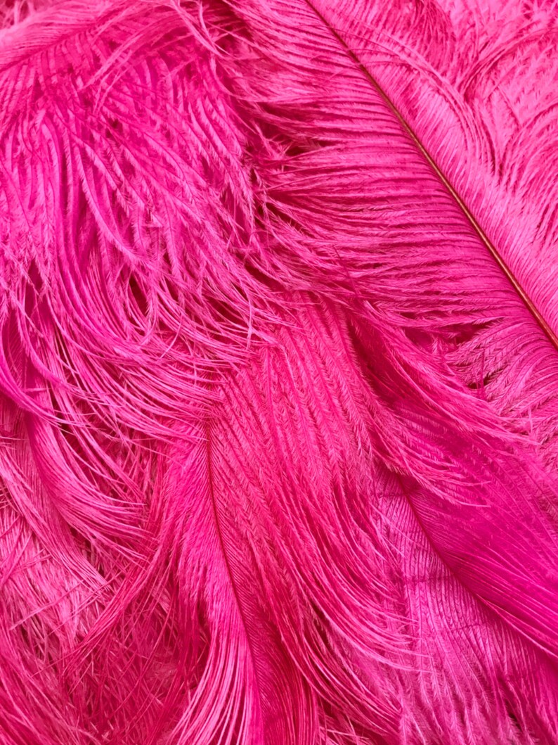2140 Pink Ostrich Feathers 10 Pieces 19-24 Hot Pink Ostrich Dyed Drabs Body Feathers Party Centerpiece Costume Supplier