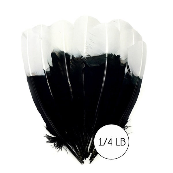 1/4 livres. - Blanc Tipped Tom Turkey Rounds Noir "Imitation Eagle" Plumes en gros (en vrac) Costume d'Halloween Craft Supply: 4081