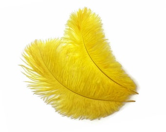 Ostrich Feathers, 10 Pieces - 8-10 Yellow Ostrich Dyed Drabs Body Feathers  Centerpiece Craft Supplier : 4000