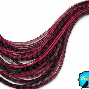 Hair Feathers, 6 Pieces - XL CLARET Grizzly Thin Extra Long Rooster Hair Extension Feathers : 589