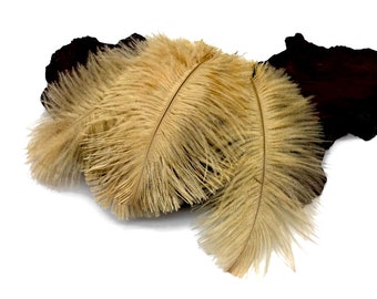 Large Ostrich Feathers, 10 Pieces - 14-17"  Antique Gold Ostrich Dyed Drabs Body Feathers Centerpiece Costume : 5029