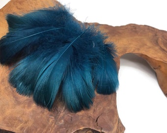 USA Goose Coquille, 1 Pack - 2-3" Teal Blue Goose Coquille Loose Feathers - 0.35 Oz. Halloween Wedding Craft Supplies : 4901