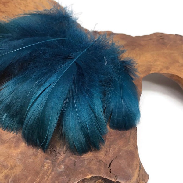 USA Goose Coquille, 1 Pack - 2-3" Teal Blue Goose Coquille Loose Feathers - 0.35 Oz. Halloween Wedding Craft Supplies : 4901