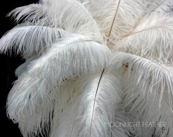 USA Ostrich Plumes, 10 Pieces - 14-17"  Off White Ostrich Dyed Drab Large Body Feathers Centerpiece Carnival Supplier : 1382