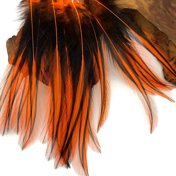 Laced Pointy Feathers, 10 Pieces - Orange Dyed BLW Laced Long Rooster Cape Whiting Farms Feathers : 2323