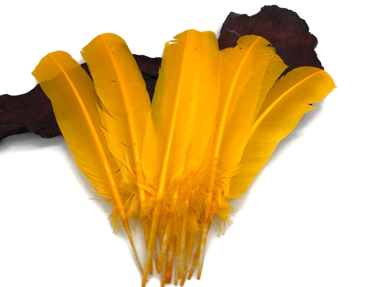 Wholesale Turkey Feathers 1/4 lb Golden Yellow Turkey Etsy