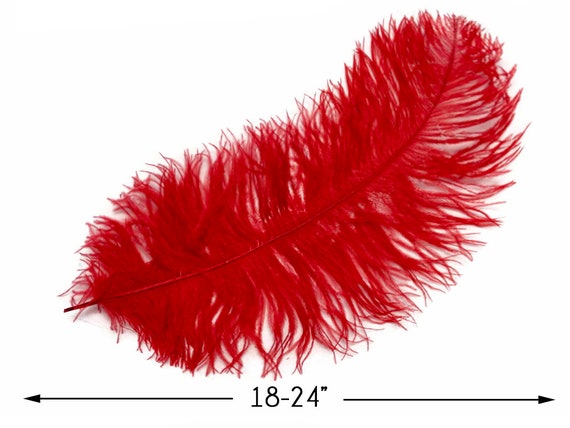 USA Large Feathers, 10 Pieces 18-24 Red Large Prime Grade Ostrich Wing  Plume Centerpiece Feathers : 3318 