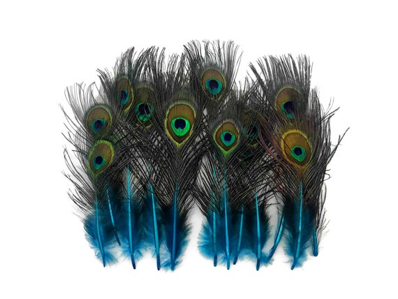 Bulk peacock feathers discount