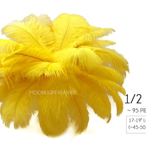 Wholesale Supplier , 1/2 lb 17-19 Yellow Large Ostrich Drab Plumage Wholesale Feathers bulk Mardi Gras Carnival Wedding : 2904 image 1