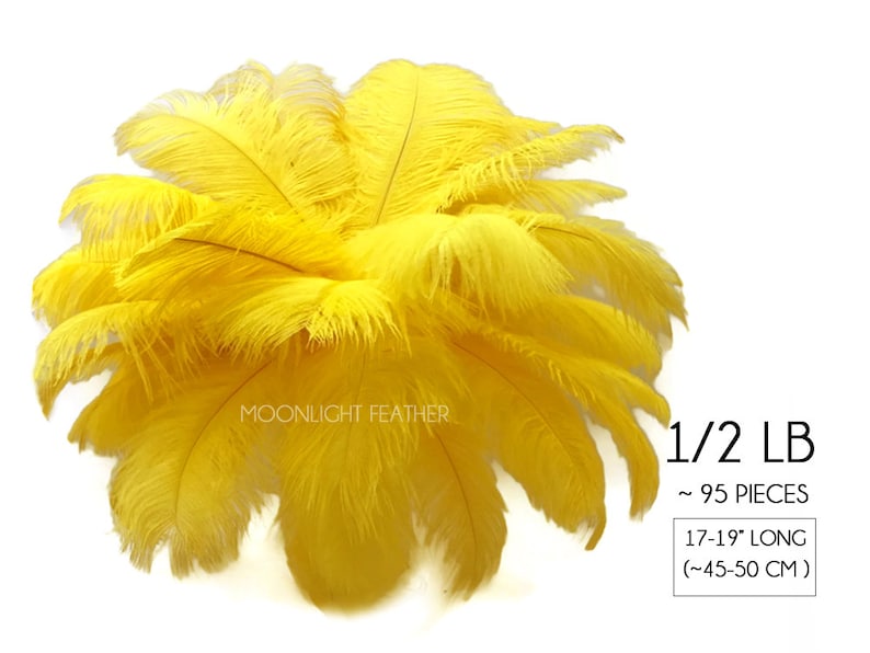 Wholesale Supplier , 1/2 lb 17-19 Yellow Large Ostrich Drab Plumage Wholesale Feathers bulk Mardi Gras Carnival Wedding : 2904 image 1