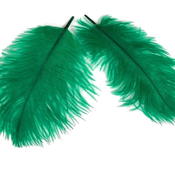 Ostrich Feathers, 1 Pack - Kelly Green Ostrich Small Confetti Feathers 0.3 Oz Fly Tying Wedding Craft Supply: 4267