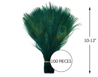 100 Pieces – Hunter Green Bleached & Dyed Peacock Tail Eye Wholesale Feathers (Bulk) 10-12” Long Halloween Craft Supply : 3767