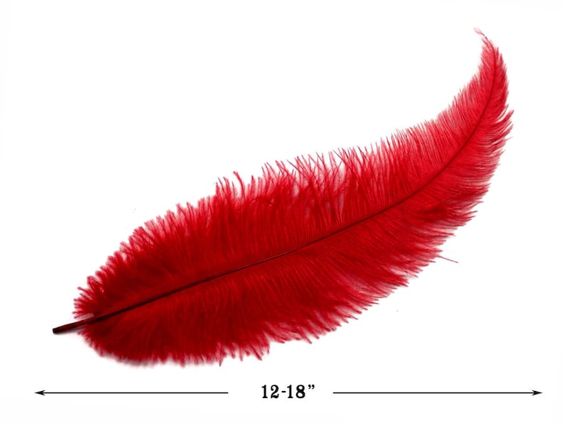 20 Pieces 12-18 Red Mini Ostrich Spads Chick Body Feathers Halloween Costume Centerpiece Ostrich Feathers 3350