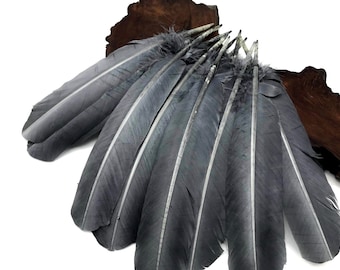 Cosplay Feathers, 6 Pieces - Silver Gray Turkey Rounds Secondary Large Wing Quill Feathers Craft Supply : 2308