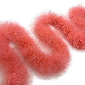 May include: A long strand of pink feather boa. The boa is soft and fluffy, and it is perfect for adding a touch of glamour to any outfit.