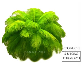 Ostrich Feathers, 100 Pieces - 6-8" Lime Green Dyed Ostrich Drabs Body Plumage Wholesale Feathers (bulk) : 1446