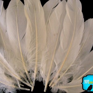 Ivory Goose Feathers, 1 pack Ivory Goose Satinettes Loose feathers 0.3 oz. : 162 image 2