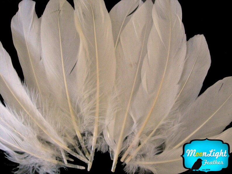 Ivory Goose Feathers, 1 pack Ivory Goose Satinettes Loose feathers 0.3 oz. : 162 image 2