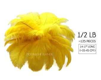 1/2 lb. - 14-17" Yellow Ostrich Large Body Drab Wholesale Feathers (Bulk) Centerpiece Cosplay Supplier : 2086