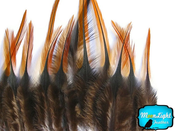 Rooster Feathers 12 Pieces Furnace Short Rooster Hackle Hair Extension Feathers 722 Etsy Canada