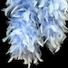 see more listings in the Feather Boa section