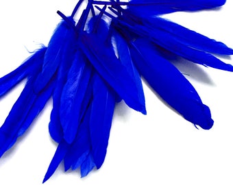 Blue Duck Feathers, 1 Pack - Royal Blue Duck Cochettes Loose Feathers 0.30 oz. Craft Supply : 3135