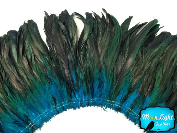 Tail Feathers, 2.5 Inch Strip TURQUOISE Half Bronze Coque Tail Strung  Feathers : 358 -  Canada