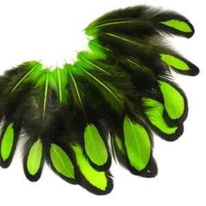 Laced Feathers, 1 Dozen Lime Green Whiting Farms Laced Hen BLW Saddle Feathers Craft Fly Tying Supply : 378 image 6