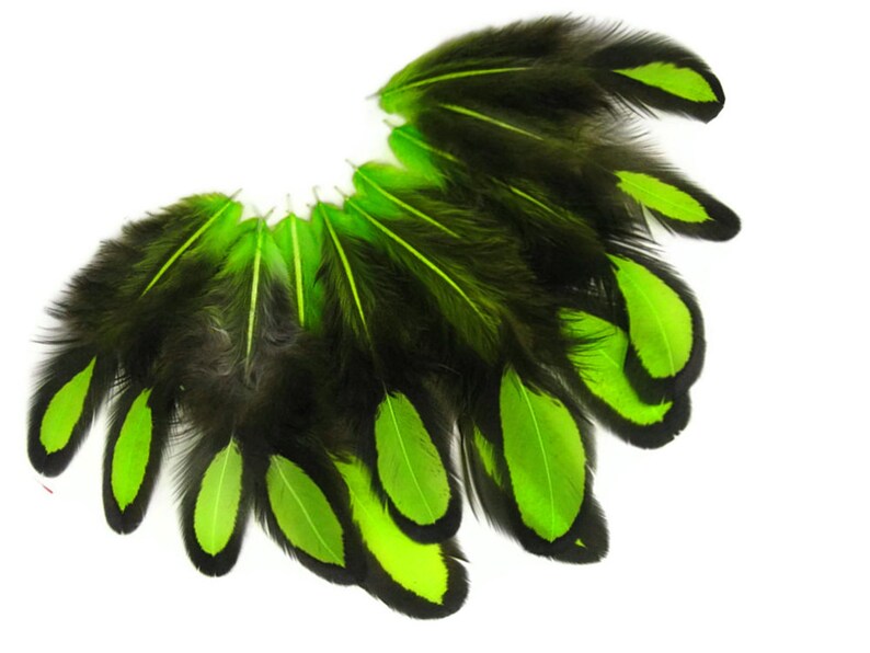 Laced Feathers, 1 Dozen Lime Green Whiting Farms Laced Hen BLW Saddle Feathers Craft Fly Tying Supply : 378 image 6