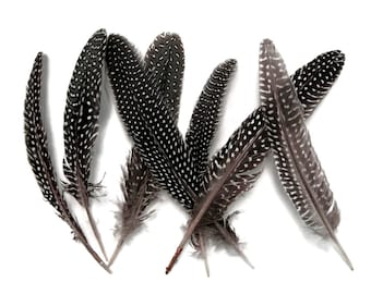 USA SELLER 10 Pieces - Natural Black & White Polka Dot Guinea Fowl Wing Quill Feathers Fly Tying Costume Craft Supply : 231