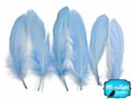 Goose Feathers, 1 Pack - Light Blue Goose Satinettes loose feathers 0.3 oz. : 138