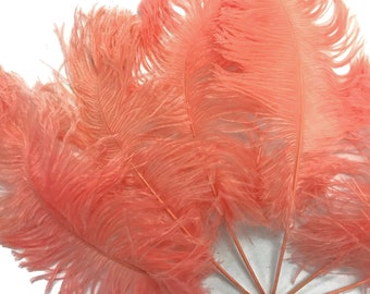 Ostrich Feathers, 10 Pieces - Apricot Dyed Ostrich Tail Feathers 12-16" Centerpiece Costume Supply : 4233