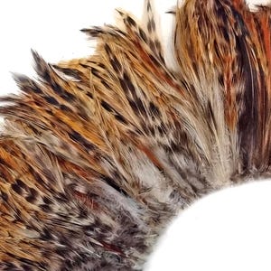 May include: Close-up of a collection of feathers in shades of brown, tan, and orange, arranged in a semi-circular shape against a white background. The feathers have a natural, textured appearance, with varying patterns and hues.