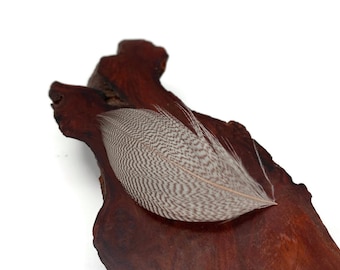 1 Pack - Natural Mallard Duck Flank Plumage Feathers 0.10 Oz. Fly Tying Halloween Craft Supply : 228