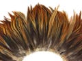 USA SELLER , 4 Inch Strip - Natural Red Furnace Strung Rooster Neck Hackle Feathers Fly Tying Millinery Craft Supply : 3905