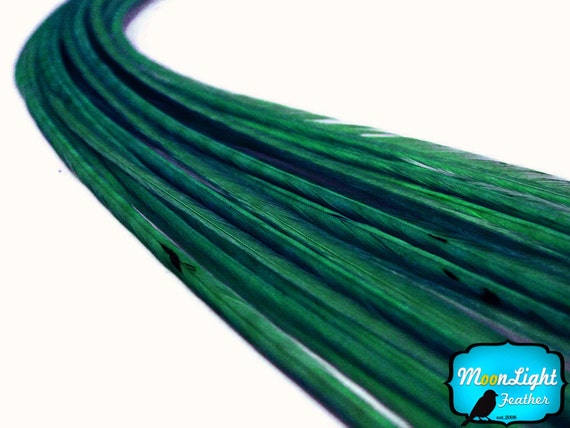 PEACOCK GREEN Thick Long Grizzly Rooster Hair Extension Feathers 6 Pieces