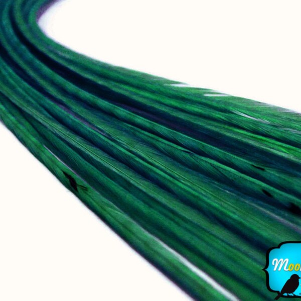 Hair Feathers, 10 Pieces - SOLID PEACOCK Green Thin Long Rooster Hair Extension Feathers : 592