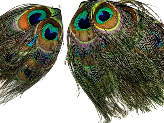 Flue Sticks-Turquoise Blue Iridescent Peacock Herl Flue Feathers US Seller