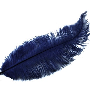 Ostrich Feathers, 20 Pieces 12-18 Navy Blue Mini Ostrich Spads Chick Body Feathers Halloween Costume Centerpieces : 3389 image 6