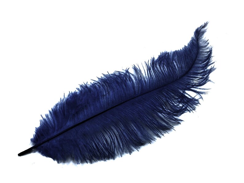 Ostrich Feathers, 20 Pieces 12-18 Navy Blue Mini Ostrich Spads Chick Body Feathers Halloween Costume Centerpieces : 3389 image 6