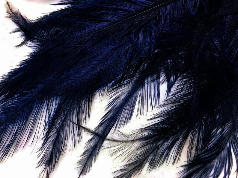 Ostrich Feathers, 20 Pieces 12-18 Navy Blue Mini Ostrich Spads Chick Body Feathers Halloween Costume Centerpieces : 3389 image 4