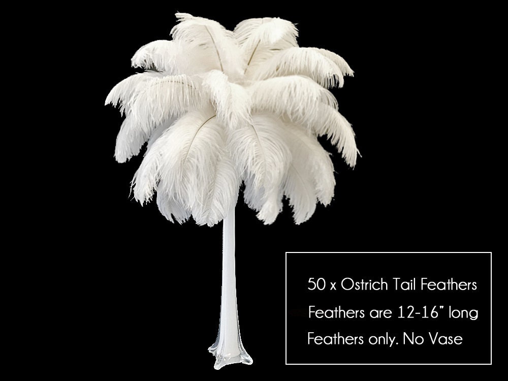 Ostrich Feathers, 50 Pieces 12-16 White Ostrich Tail Centerpiece Costume  Wholesale Feathers bulk : 4507 