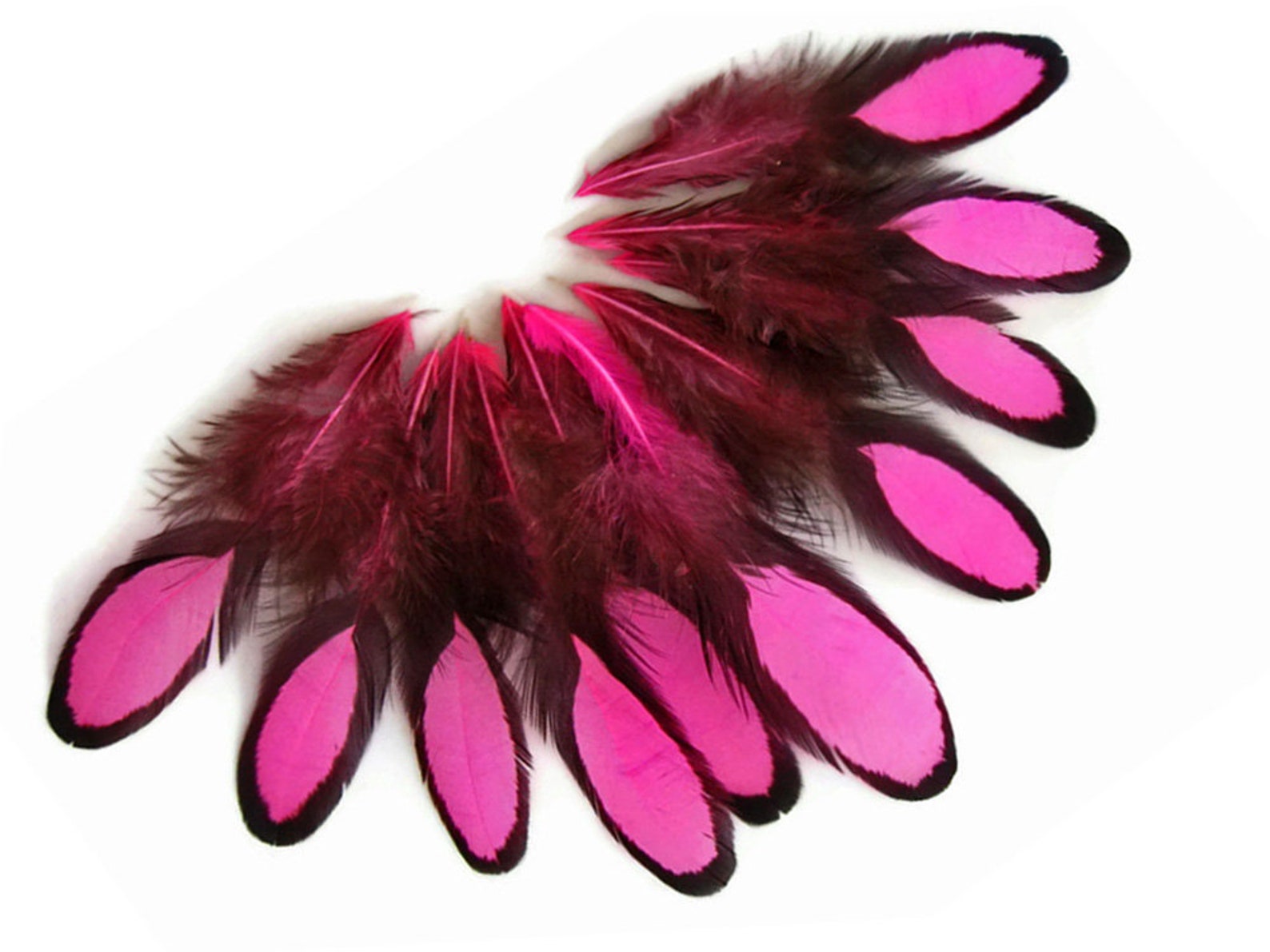 Unique Hen Feathers 1 Dozen Hot Pink Whiting Farms BLW Etsy